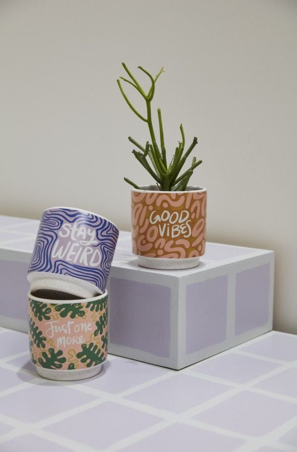 Triple Delight(Set of 3)