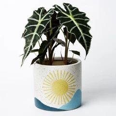 Sunrise Heaven planter (Set of 5)