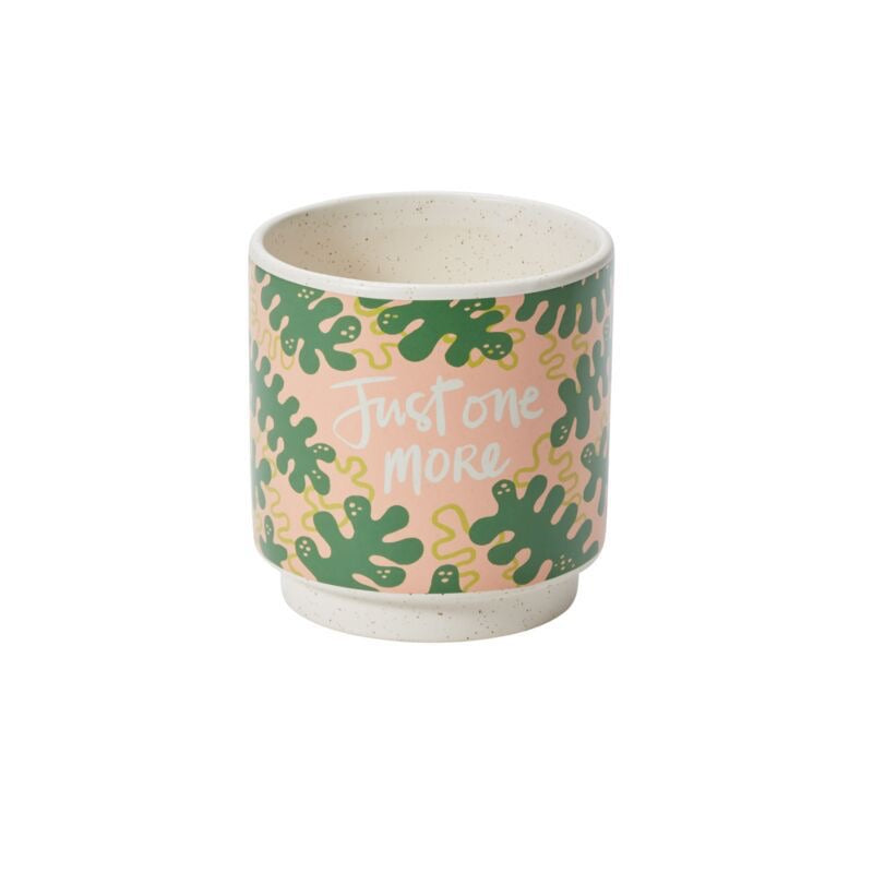 Triple Delight(Set of 3)