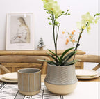Serene Green planter (Set of 2)