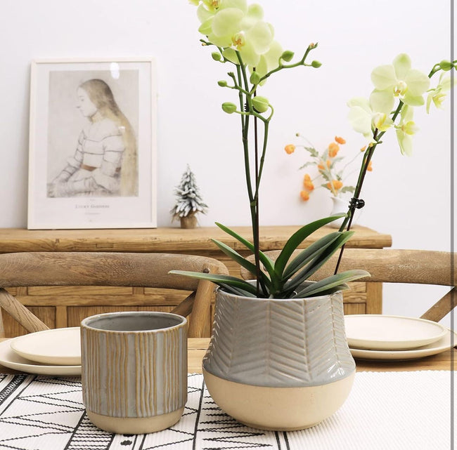 Serene Green planter (Set of 2) Hover Image