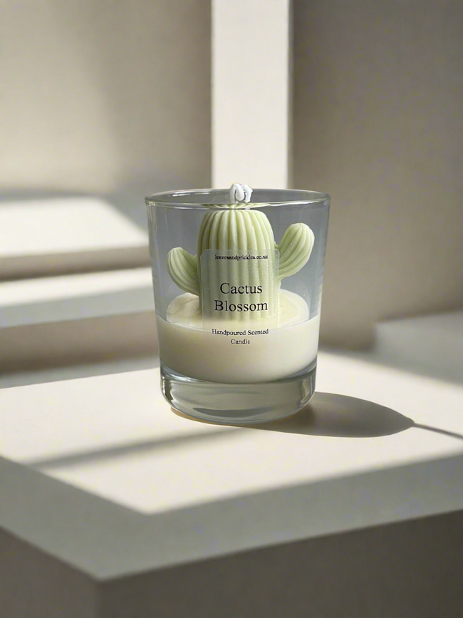 Cactus Candles in jar Hover Image