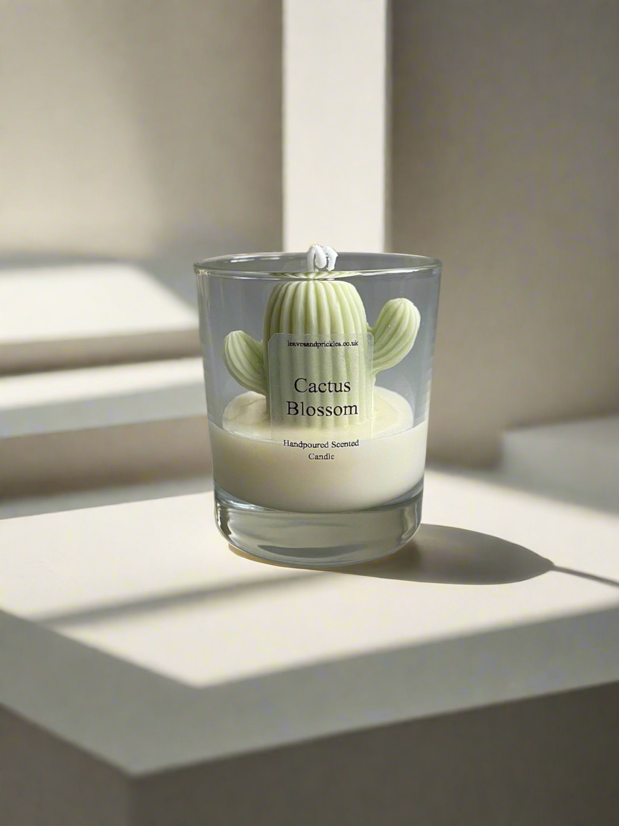 Cactus Candles in jar