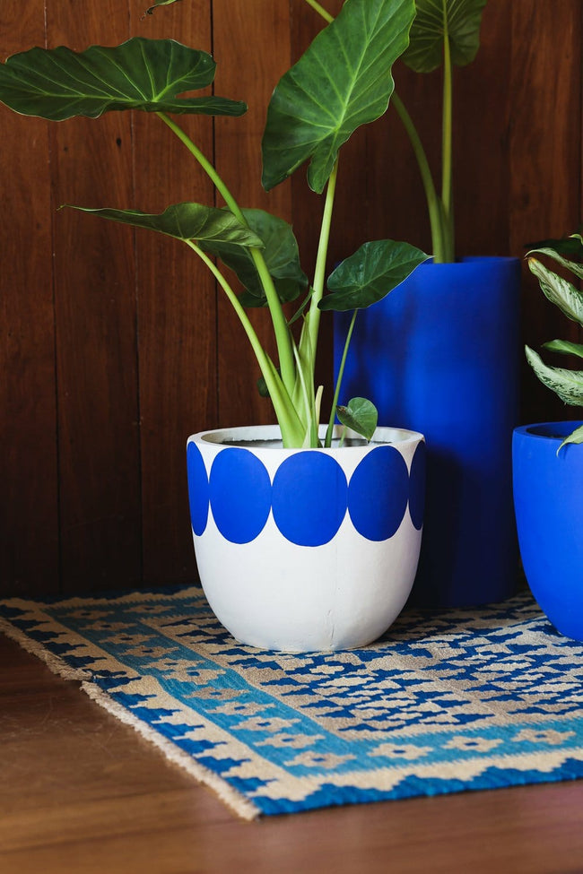 Bloom Buddy (Set of 5) Main Image