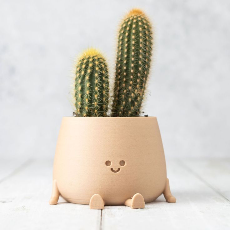 Happy Face Sitting Planter(Set of 2)