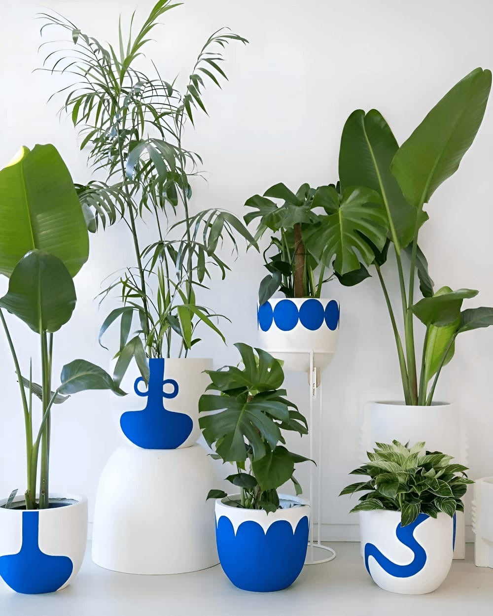 Bloom Buddy (Set of 5)