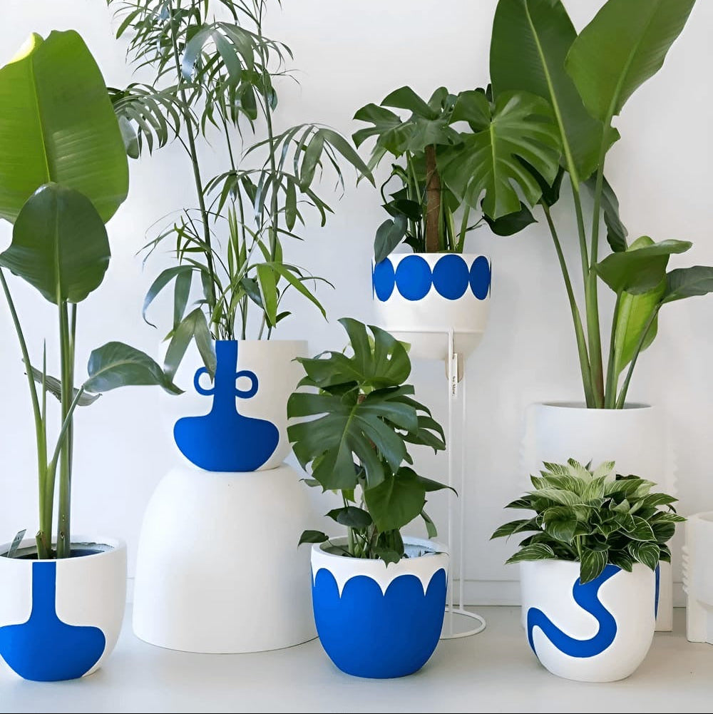 Bloom Buddy (Set of 5)