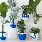 Bloom Buddy (Set of 5)