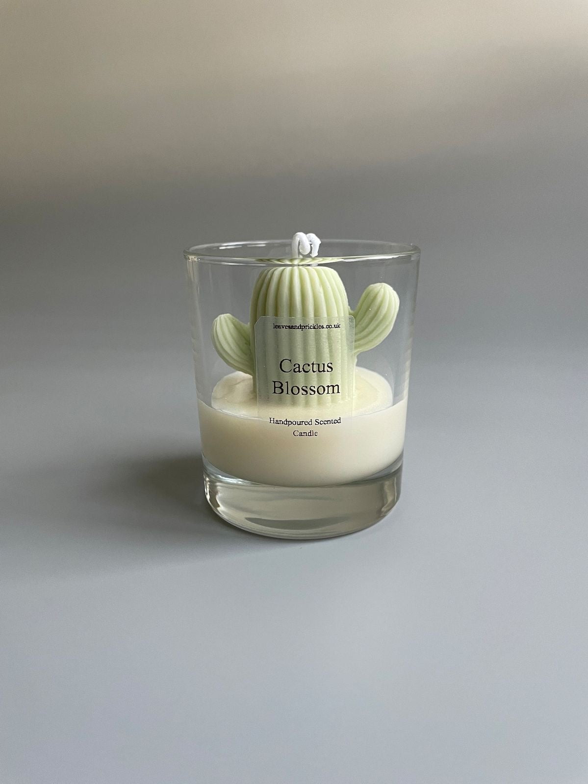 Cactus Candles in jar