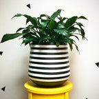 Modern Stripe planter