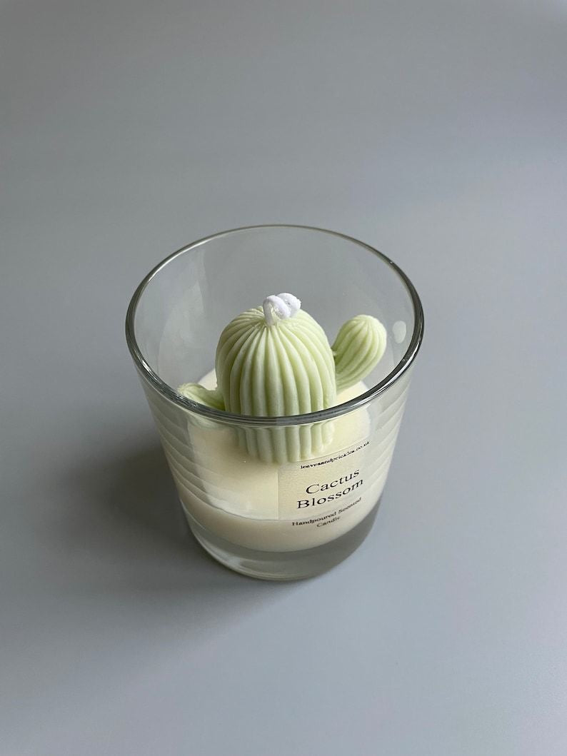 Cactus Candles in jar