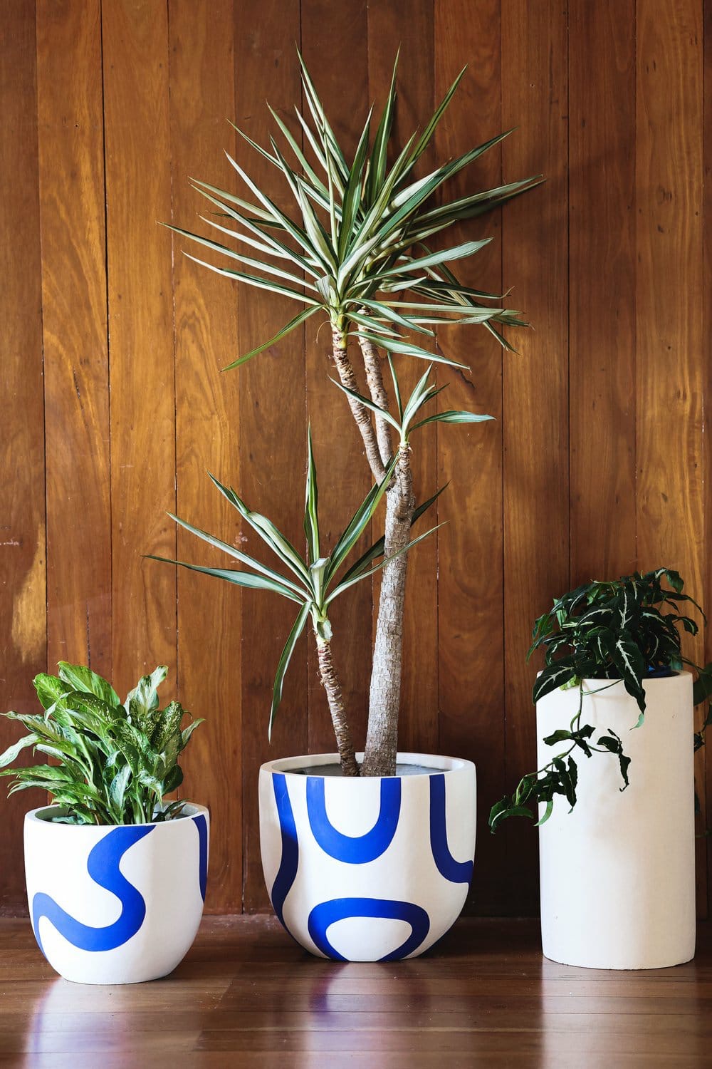 Bloom Buddy (Set of 5)