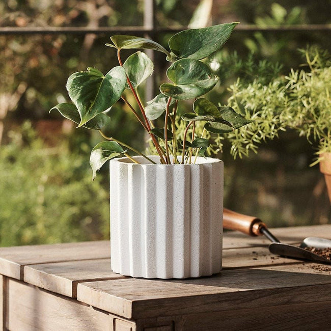 Nature Embrace Hover Image