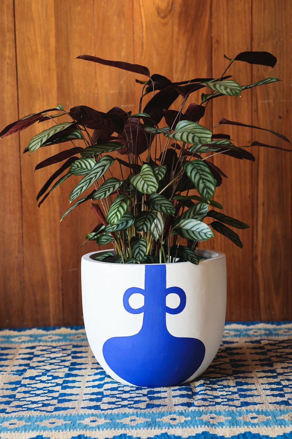 Bloom Buddy (Set of 5)