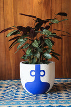 Bloom Buddy (Set of 5)