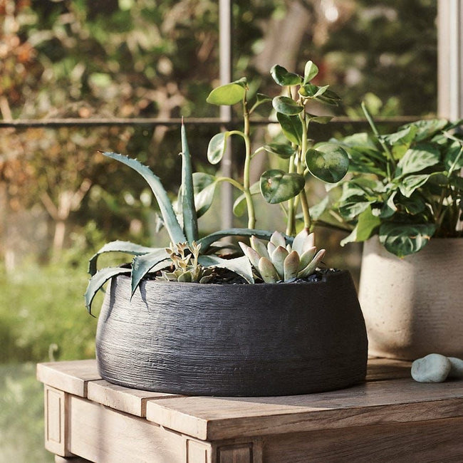 Low Bowl Planter Hover Image