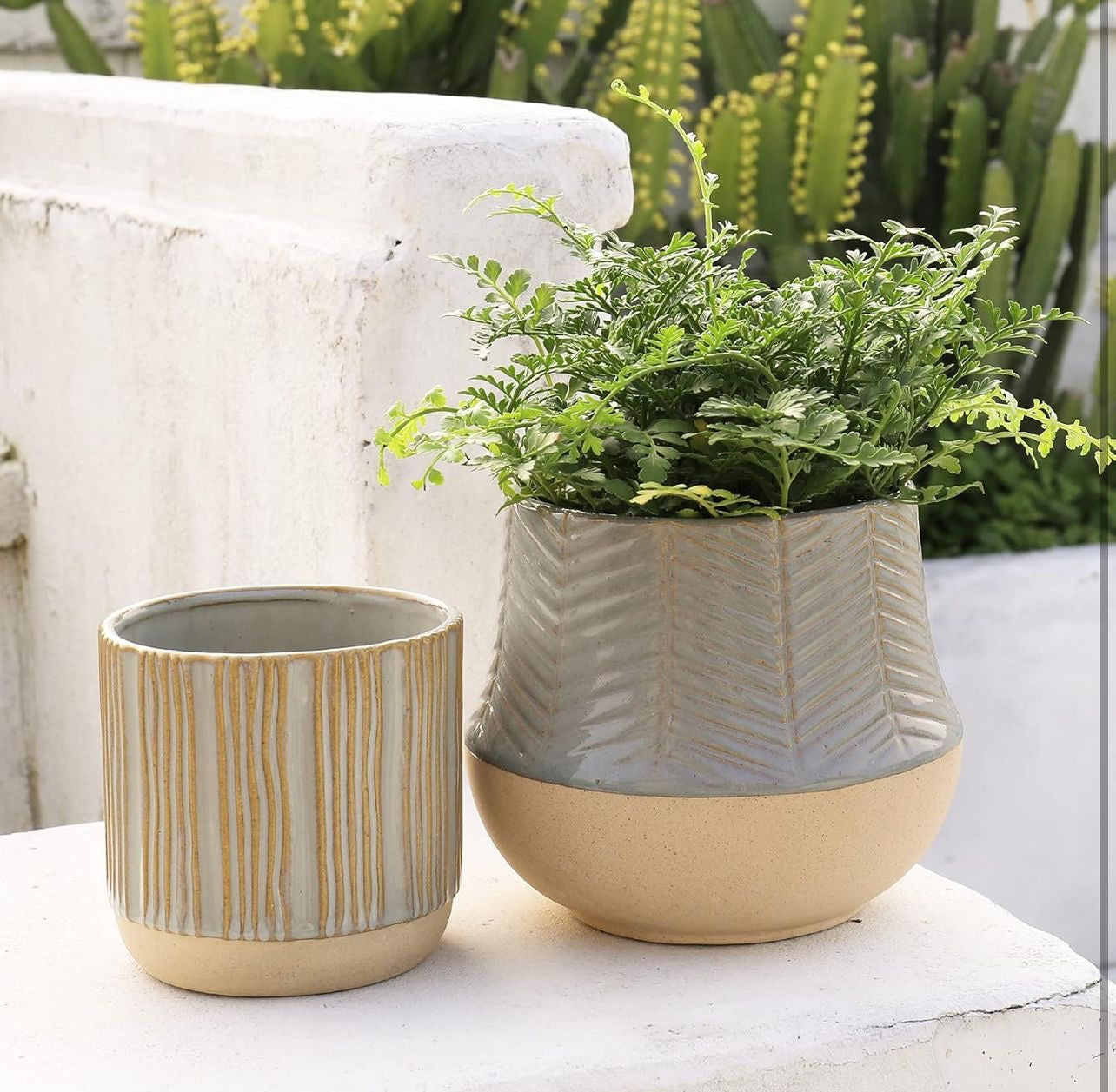 Serene Green planter (Set of 2)