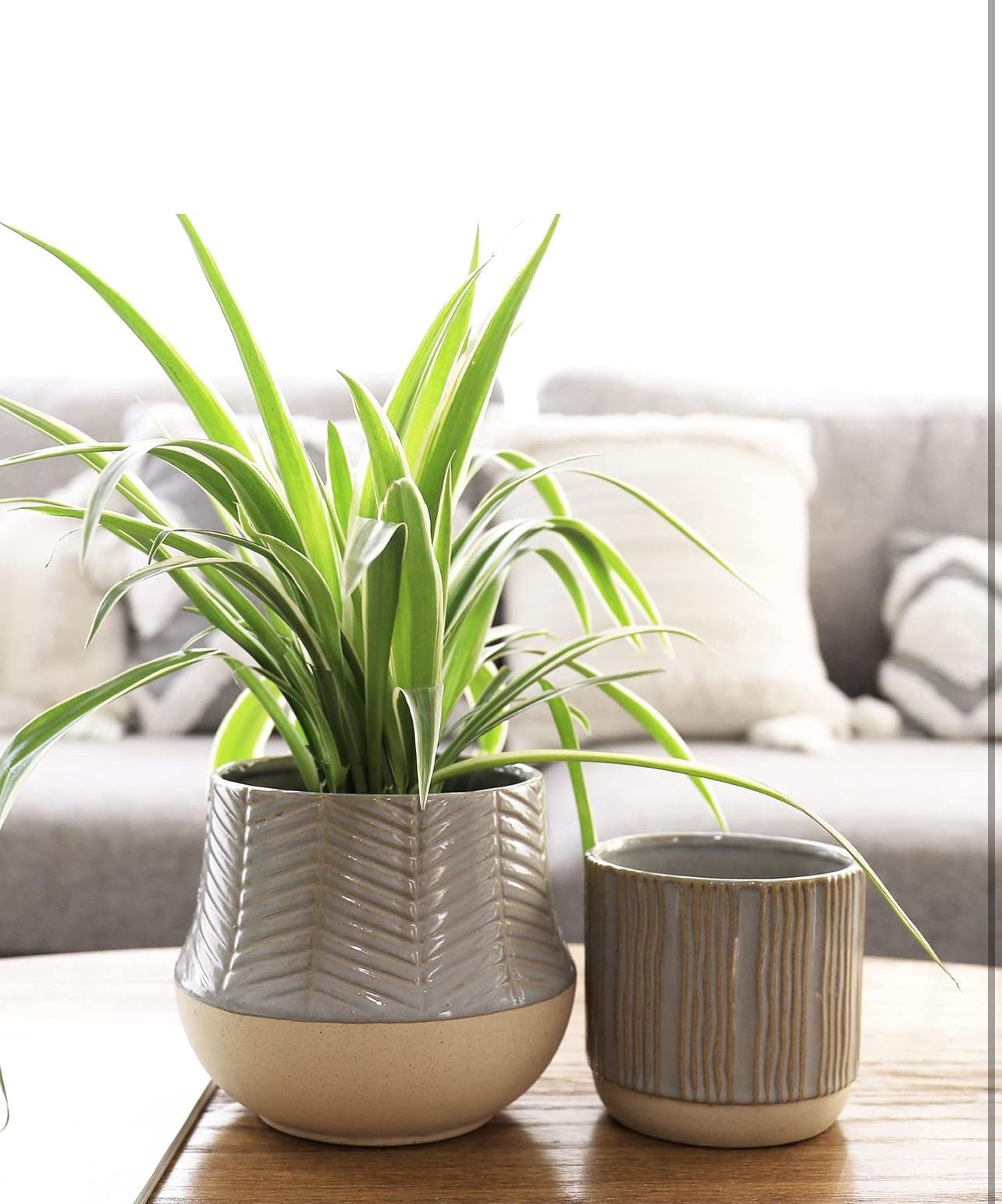 Serene Green planter (Set of 2)
