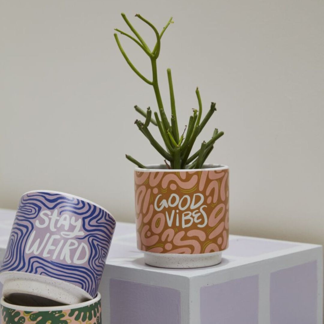 Triple Delight(Set of 3)