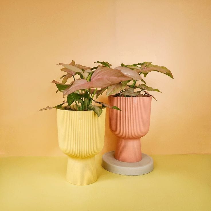 Rigged planter (Set of 4)