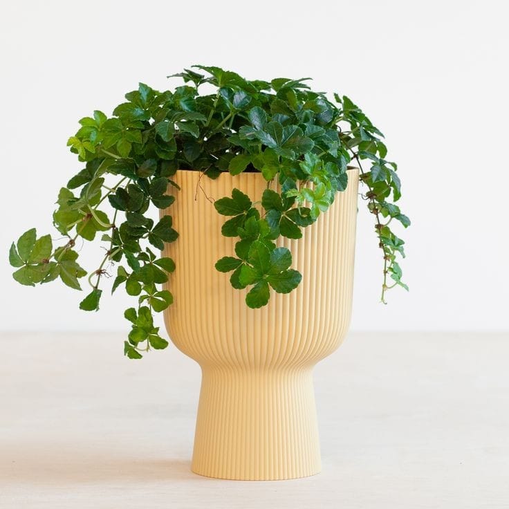 Rigged planter (Set of 4)