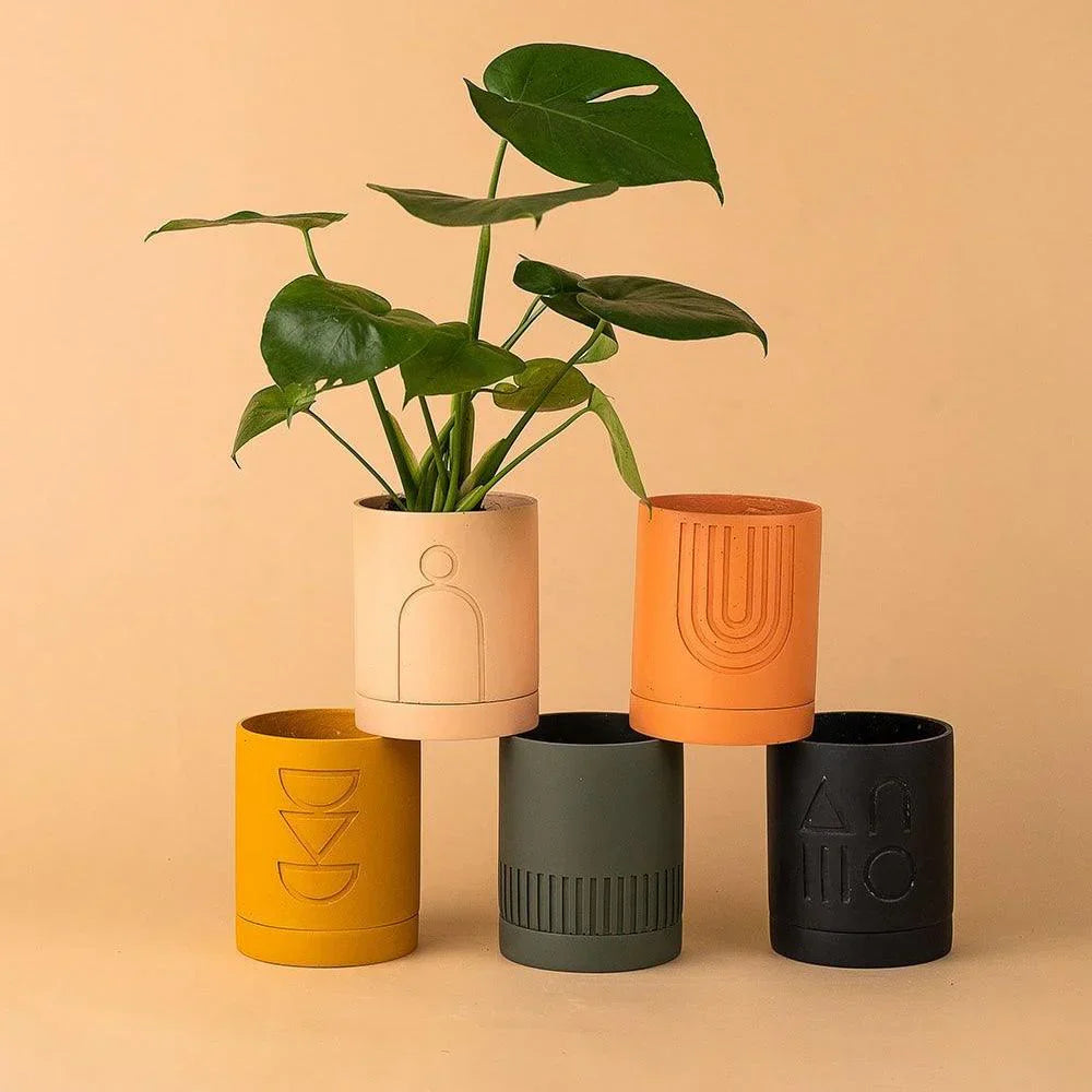 Spring Planter (SET OF 5)