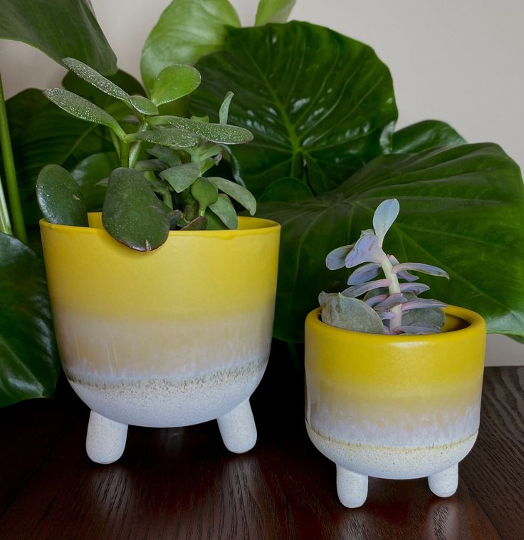 Leg Yellow Planter (Set of 2)