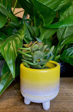 Leg Yellow Planter (Set of 2)