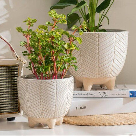 Classic planter (Set Of 2) Hover Image