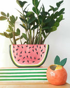 Watermelon and Orange Shape planter