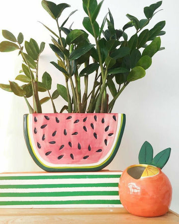 Watermelon and Orange Shape planter