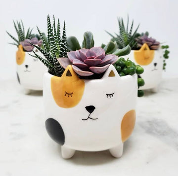 Spark Dazzle Cat Shape Planter