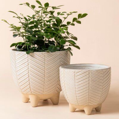 Classic planter (Set Of 2)