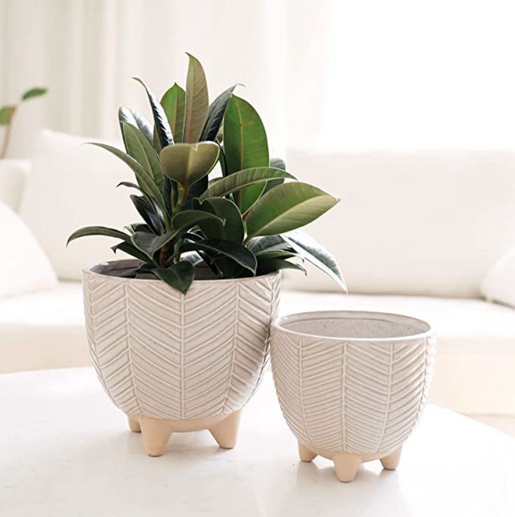Classic planter (Set Of 2)