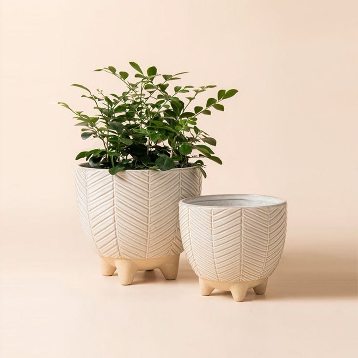 Classic planter (Set Of 2)