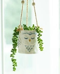 Owl Shaped Hanging Planter