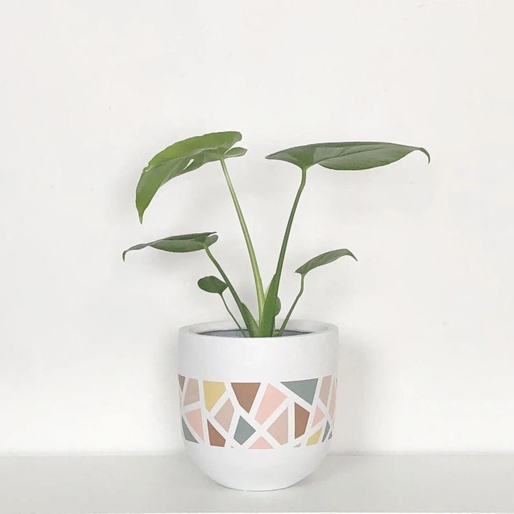 The Terrazzo Pot Planter (Set of 2)