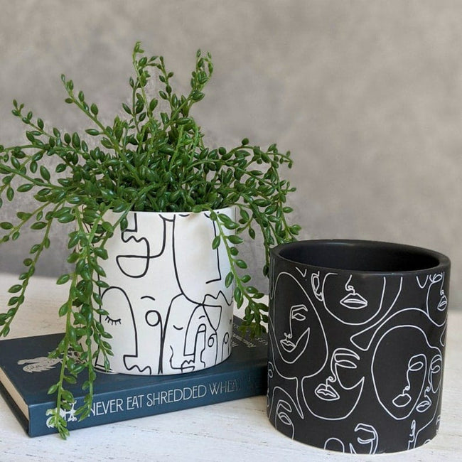 Black White Linear Face Planter (Set of 2) Hover Image