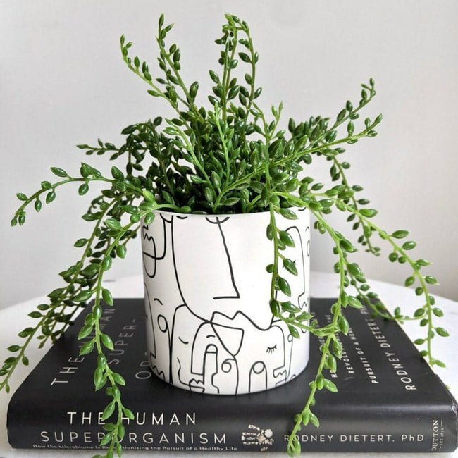 Black White Linear Face Planter (Set of 2) Main Image