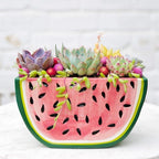Watermelon and Orange Shape planter