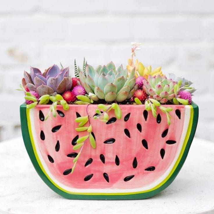 Watermelon and Orange Shape planter