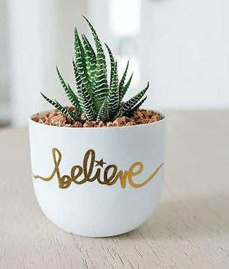 Believe planter Hover Image