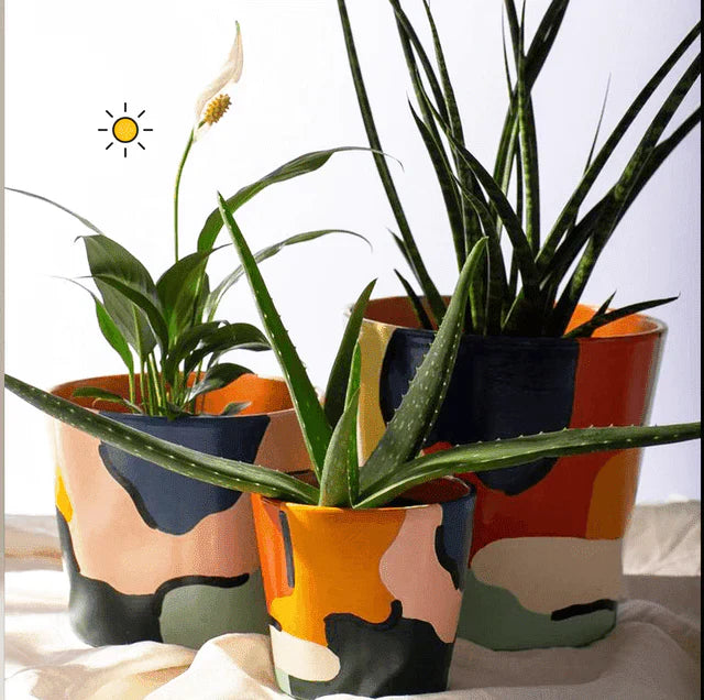Cameo Bundle Planter (Set Of 3)
