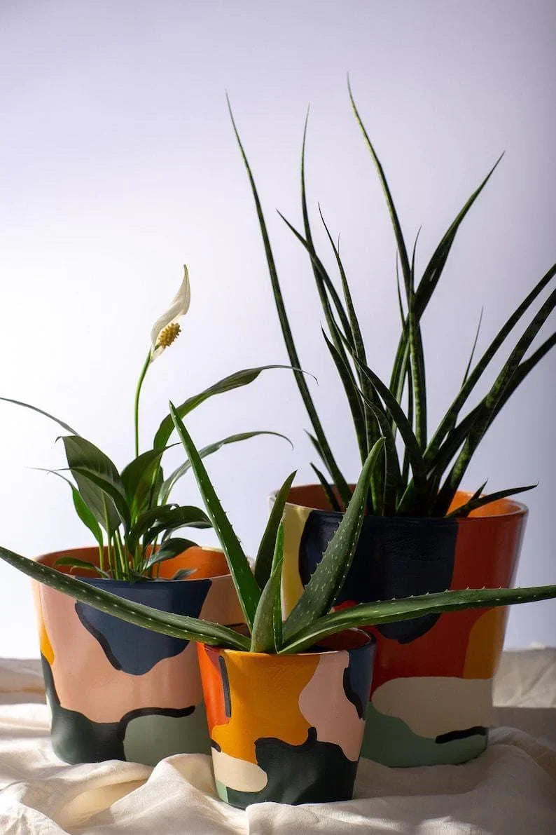 Cameo Bundle Planter (Set Of 3)