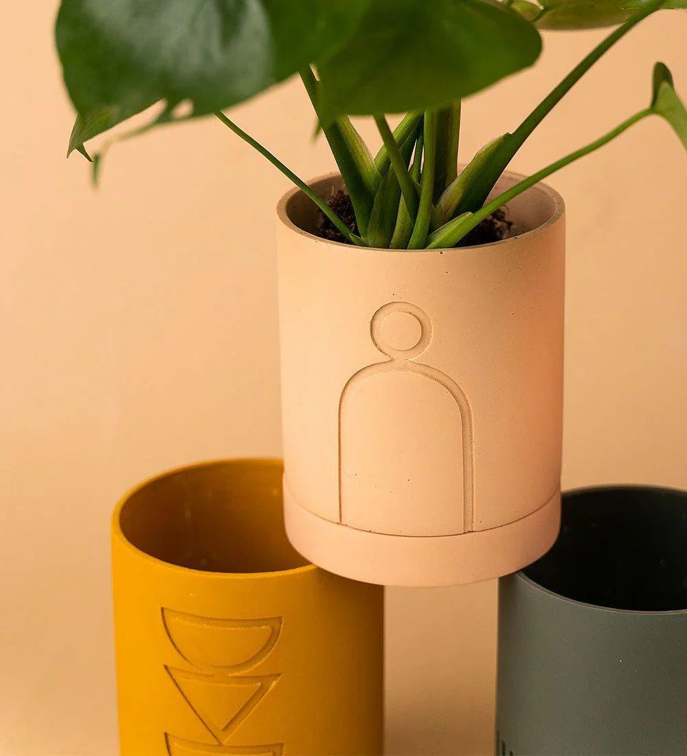 Spring Planter (SET OF 5)