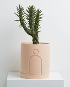 Spring Planter (SET OF 5)