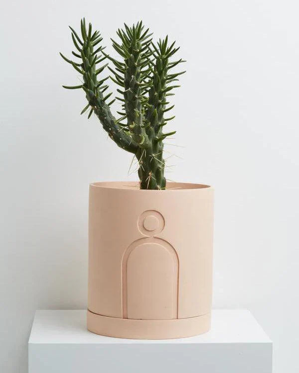 Spring Planter (SET OF 5)