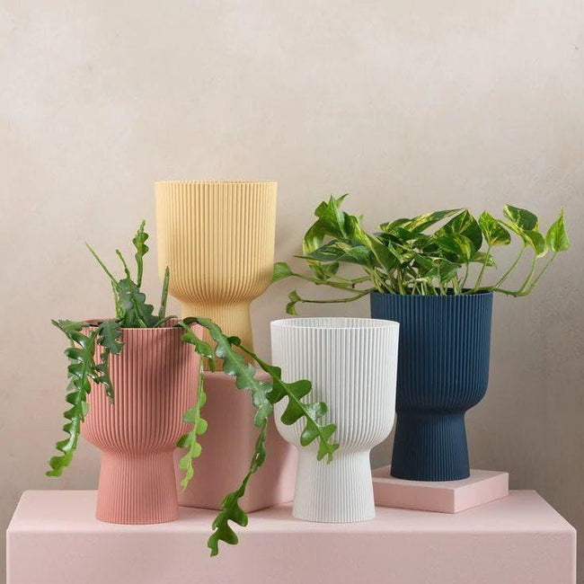 Rigged planter (Set of 4) Hover Image