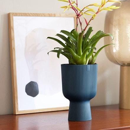 Rigged planter (Set of 4)