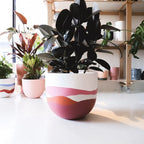 Bloom Planter (Set of 4)